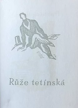 Růže tetínská