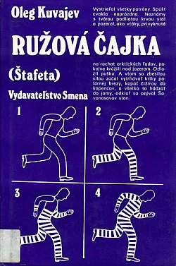 Ružová čajka