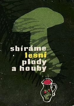 Sbíráme lesní plody a houby