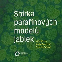 Sbírka parafínových modelů jablek