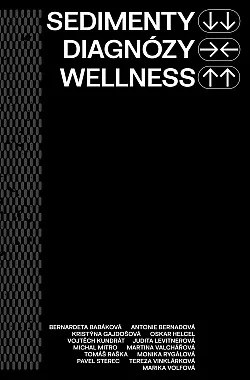 Sedimenty diagnózy wellness