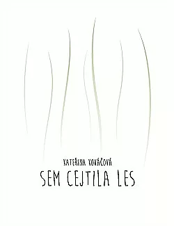 Sem cejtila les