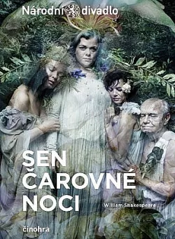 Sen čarovné noci
