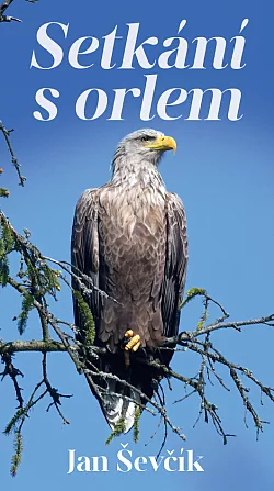Setkání s orlem