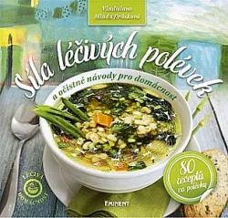 Síla léčivých polévek a očistné návody pro domácnost
