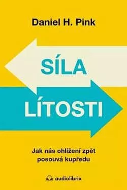 Síla lítosti
