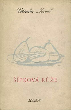 Šípková růže