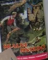 Skalní hnízdo