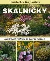 Skalničky: nenáročné rostliny do zahrad i nádob