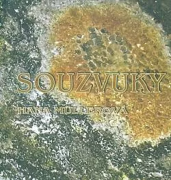 Souzvuky