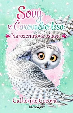 Narozeninová oslava
