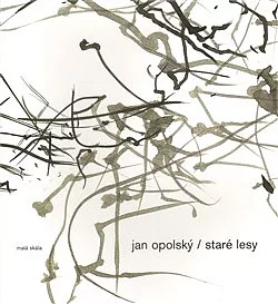 Staré lesy