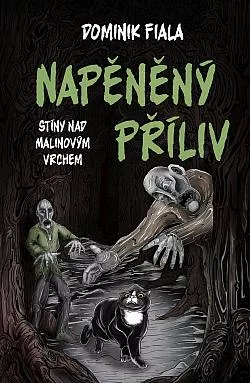 Napěněný příliv