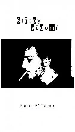 Střepy vědomí