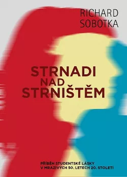 Strnadi nad strništěm
