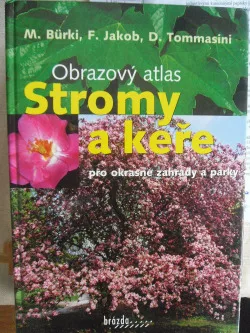 Stromy a keře pro okrasné zahrady a parky - obrazový atlas