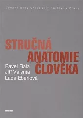 Stručná anatomie člověka