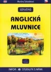 Stručná anglická mluvnice
