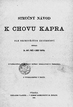 Stručný návod k chovu kapra