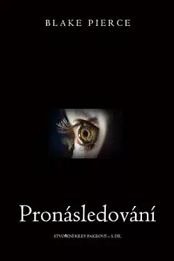Pronásledování