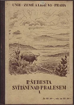 Svítání nad pralesem 1