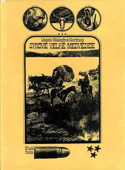 Synové velké medvědice
