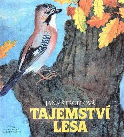Tajemství lesa
