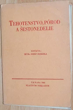 Tehotenstvo, pôrod a šestonedelie