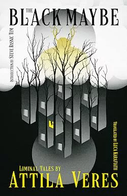 The Black Maybe: Liminal Tales