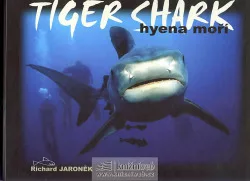 Tiger Shark - hyena moří
