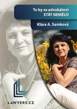 To by se advokátovi stát nemělo