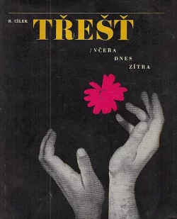 Třešť: včera, dnes, zítra