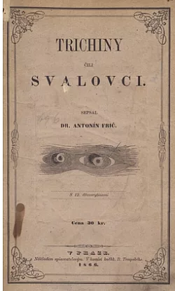 Trichini čili svalovci