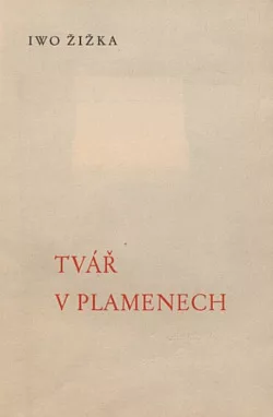Tvář v plamenech
