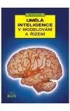 Umělá inteligence v modelování a řízení