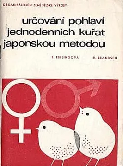 Určování pohlaví jednodenních kuřat japonskou metodou