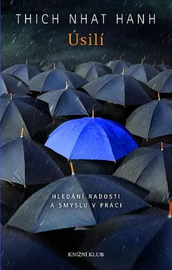 Úsilí: Hledání radosti a smyslu v práci