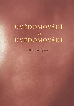 Uvědomování si uvědomování