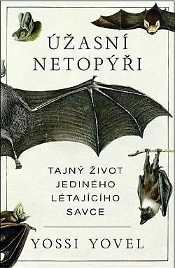 Úžasní netopýři: Tajný život jediného létajícího savce