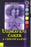 Uzdravení čaker a vědomí karmy