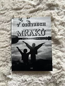 V obrysech mraků