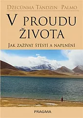V proudu života: Jak zažívat štěstí a naplnění