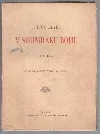 V soumraku bohů