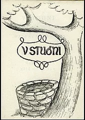 V studni