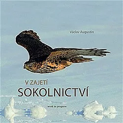 V zajetí sokolnictví