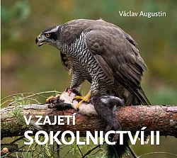 V zajetí sokolnictví II