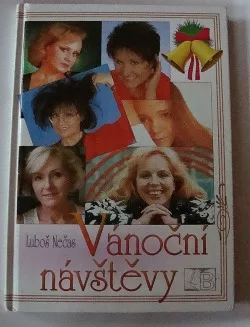 Vánoční návštěvy