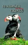 Ve stopách Vikingů