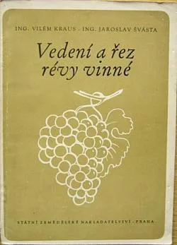 Vedení a řez révy vinné
