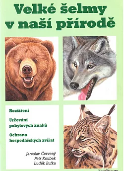 Velké šelmy v naší přírodě